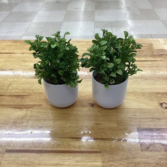 Threshold Other - 2 PACK Artificial Boxwood Plant - Threshold™: Indoor Faux Greenery, Melamine Pot